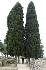 Sizilien (201 von 565).jpg